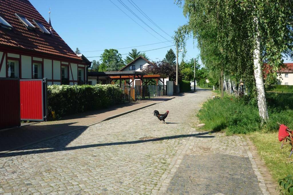 Erpelhaus Apartment Utzberg Exterior photo